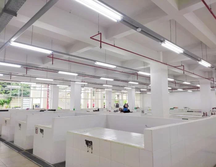 clean room certification shan international services